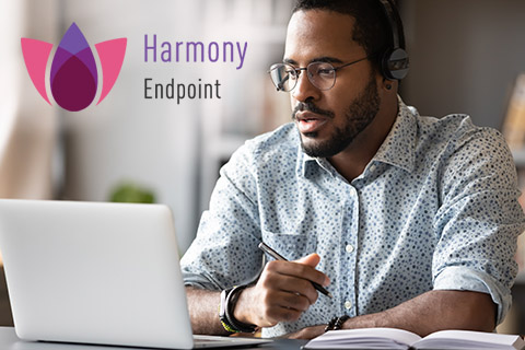 Harmony Endpoint 图像，一位男士正在使用笔记本电脑