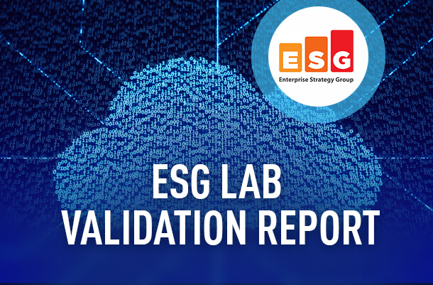 ESG 实验室验证报告图像