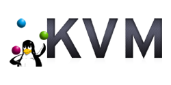 KVM 标志