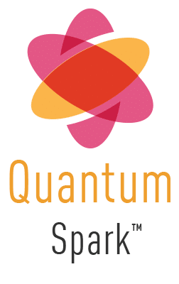 quantum spark ngfw logo