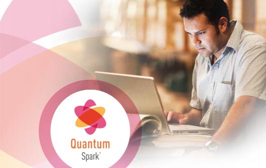 Quantum Spark - Top 3 Cyber Attacks targeting Small Businesses